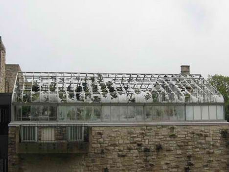 Destructive Hail Storm