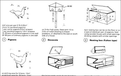 compact_living_small_spaces_animals_cages_dimension Compact Living and Small Spaces