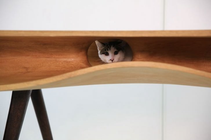 Cat Table for Architect Cat Lovers