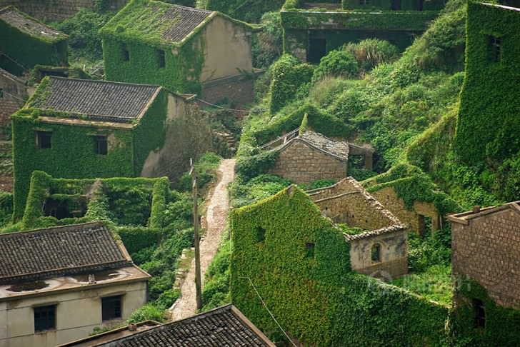 Abandoned Chinese Village On Goqui Island Swallowed By Mother Nature