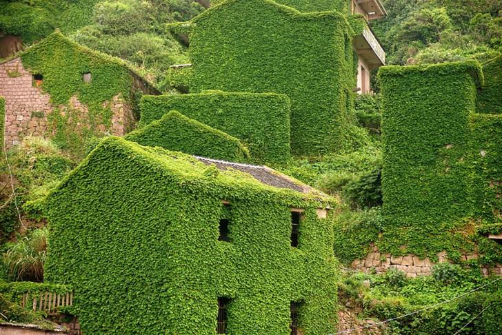 Abandoned Chinese Village On Goqui Island Swallowed By Mother Nature
